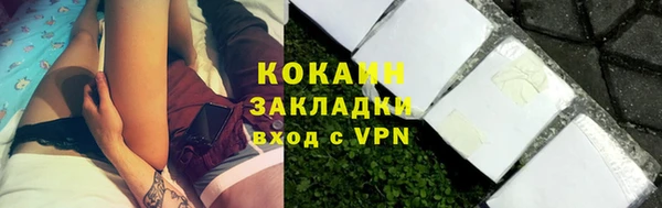 МДПВ Вяземский