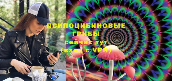 МДПВ Вяземский