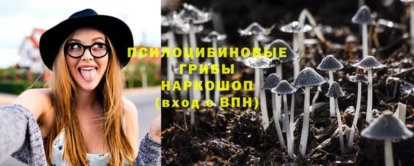 прущий лед Горняк