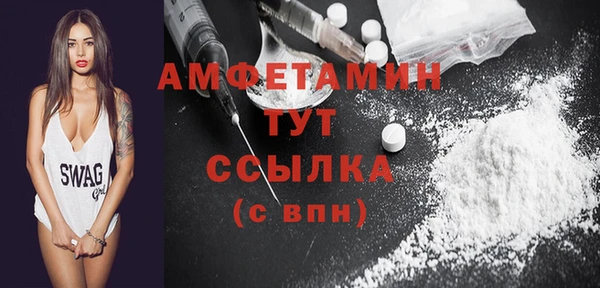 шишки Горно-Алтайск