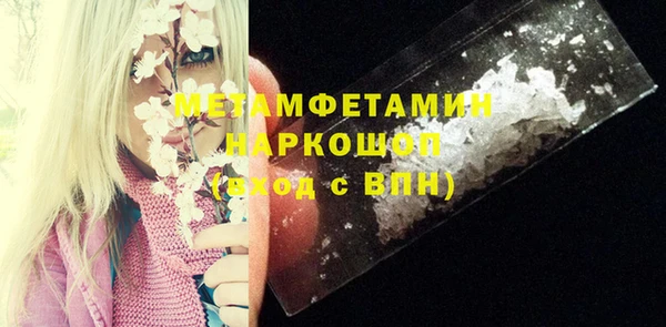 шишки Горно-Алтайск