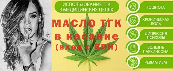 МДПВ Вяземский